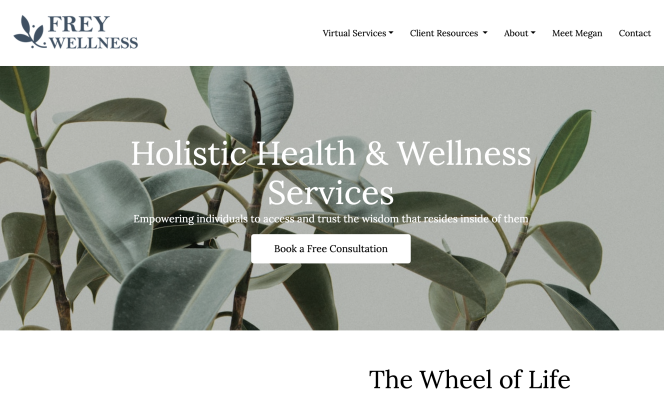 wellness membership site idea